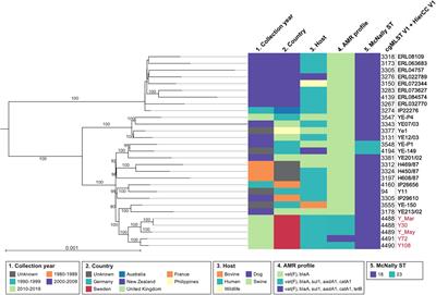 Molecular Characterization of Multidrug-Resistant Yersinia enterocolitica From Foodborne Outbreaks in Sweden